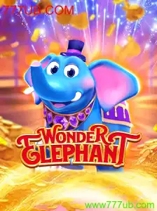 Explorando WonderElephant: O Guia Completo para Novos Jogadores